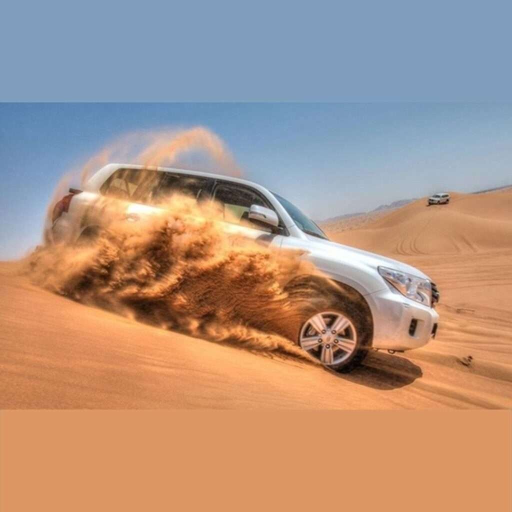 Morning Desert Safari