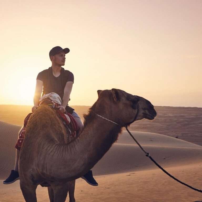 Untitled design (63)