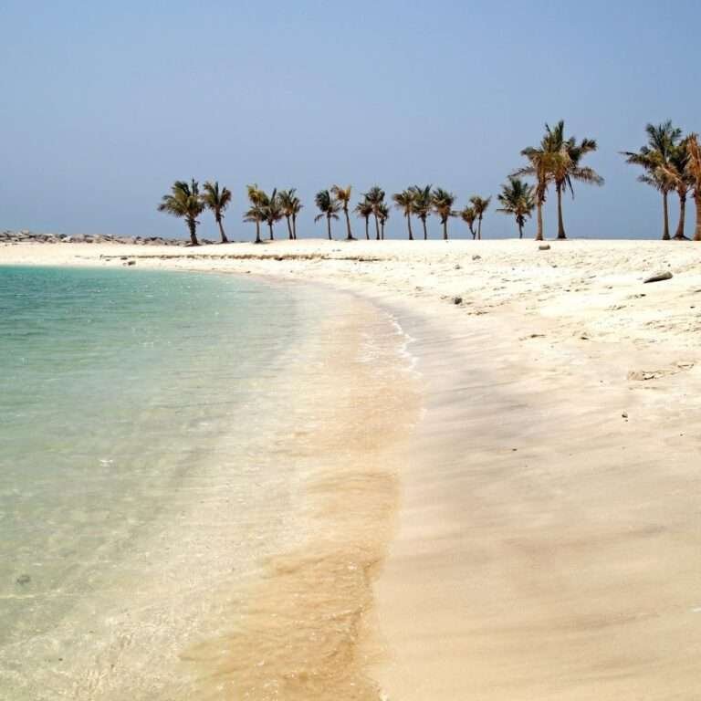 Untitled design - 2022-06-11T012631.355