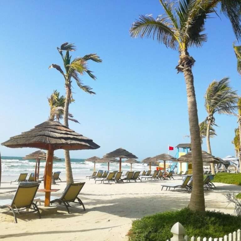 Untitled design - 2022-06-11T012650.164