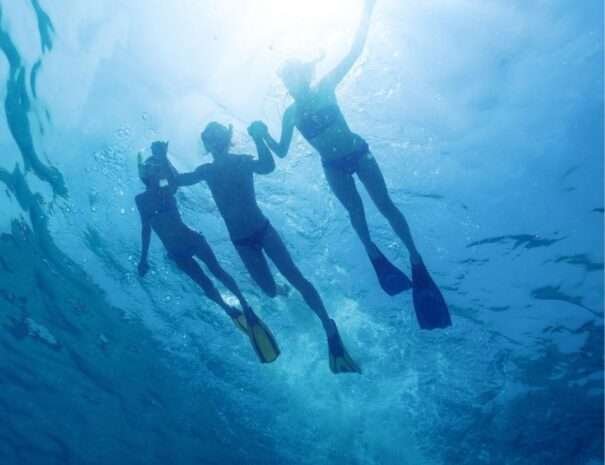 Untitled design - 2022-06-18T170746.647