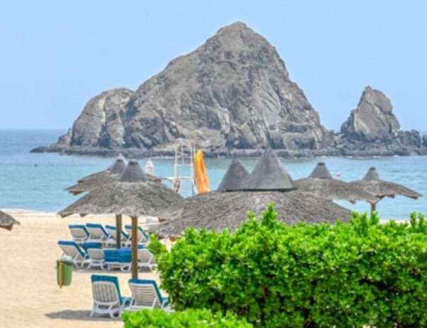 Untitled design - 2022-07-23T150524.657