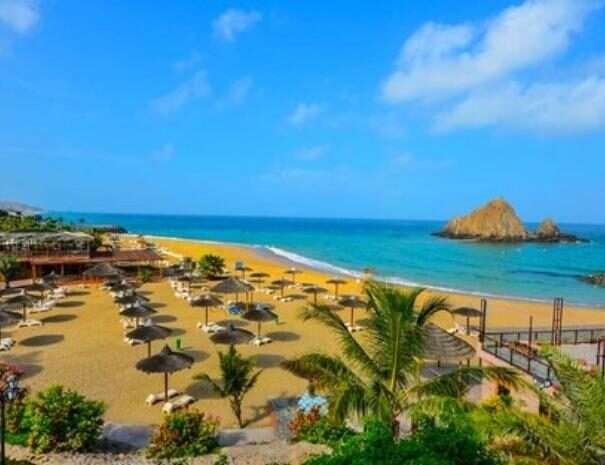 Untitled design - 2022-08-25T034258.030