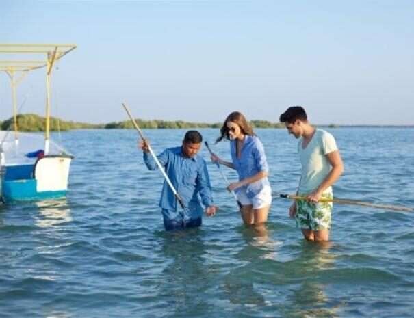 Untitled design - 2022-08-25T034410.395