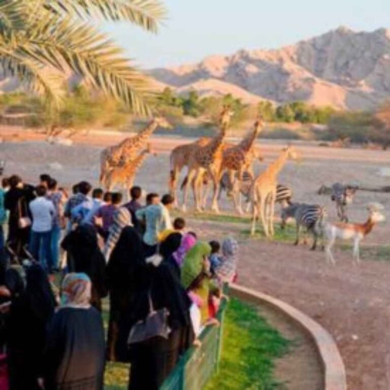 Al Ain Zoo
