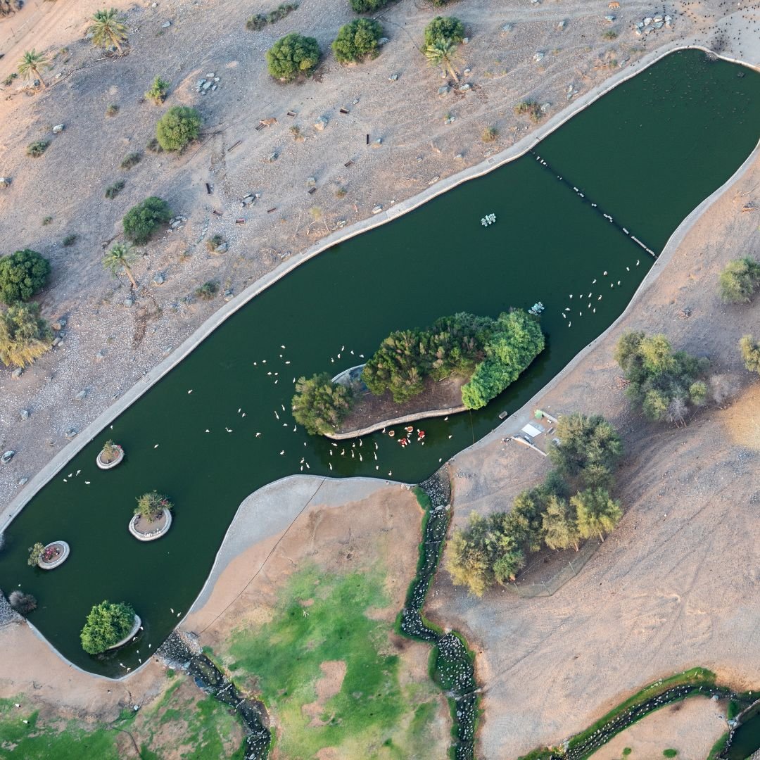 Hot Air Balloons (11)-min