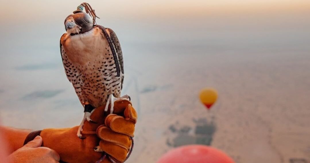 Hot Air Balloons (15)-min