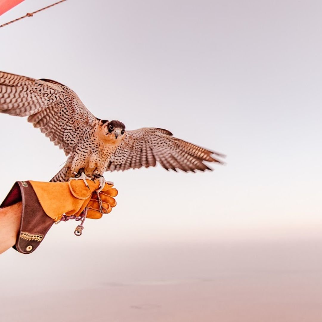 Hot Air Balloons (16)-min