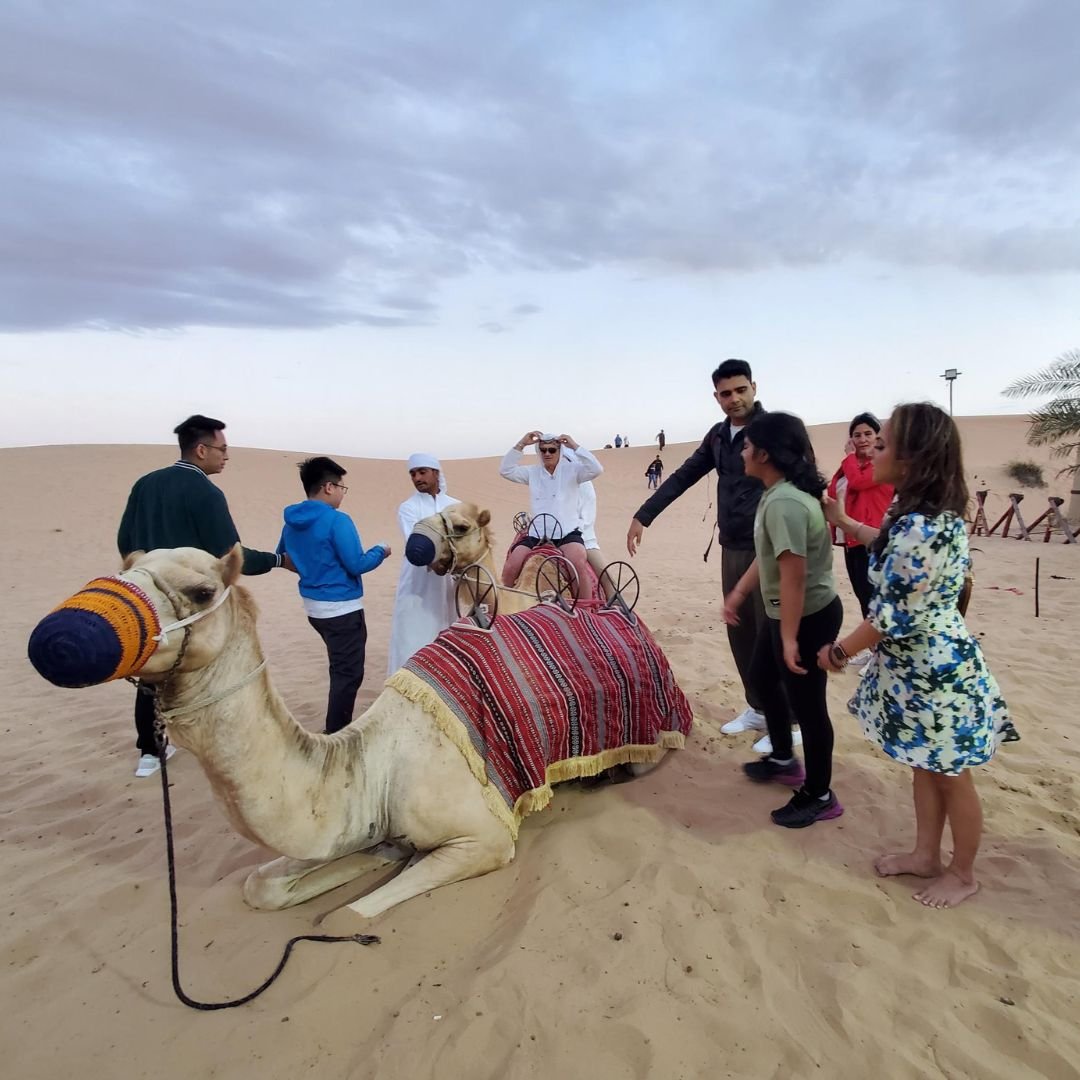 Mexplorer Private Tours